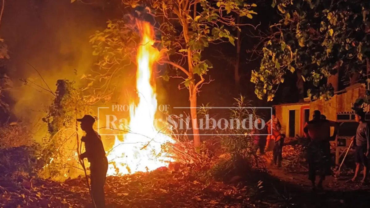 KEBAKARAN: Anggota BPBD Situbondo menjinakkan kobaran si jago merah di Dusun Pandansari, Desa Pasir Putih, Kecamatan Bungatan, Senin malam (28/9). (HUMAIDI/JPRS)