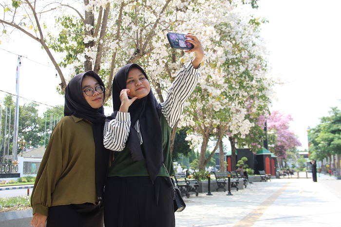 JADI SPOT DADAKAN: Deretan bunga tabebuya di Alun-alun Jombang jadi spot foto dadakan.