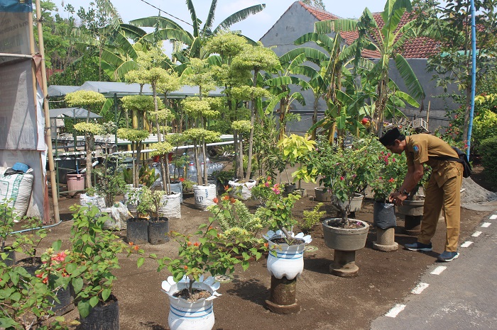 SUKSES: Kades Dukuhdimoro Khoirul Umam saat tengah mempersiapkan program untuk menuju Desa Berseri kategori madya.
