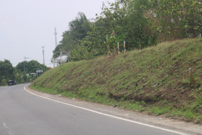 DITAMBAH: Tanggul Sungai Brantas rencananya bakal dipasang PJU baru di jalan provinsi ruas Ploso-Gedeg.