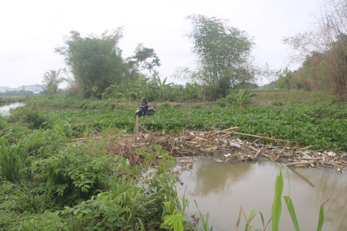 Kondisi anak Kali Marmoyo di Dusun lengkong, Jatigedong, Ploso, Jombang yang tersumbat sampah