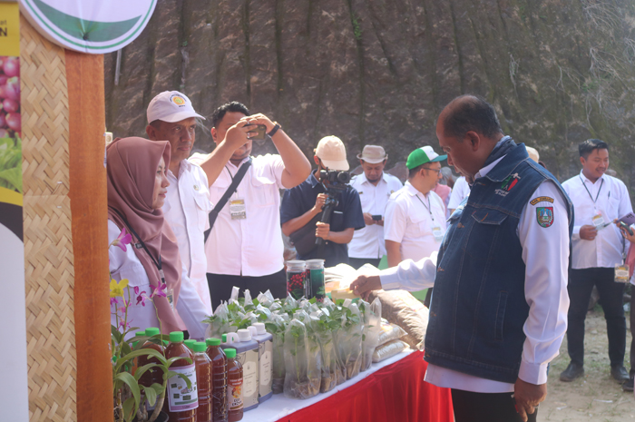 ANTUSIAS: Pj Bupati Jombang, Sugiat, memantau stan dalam Gelar Produk Perkebunan 2023 yang digeber Dinas Pertanian Jombang di Desa Karangpakis, Kecamatan Kabuh, Rabu (20/12).
