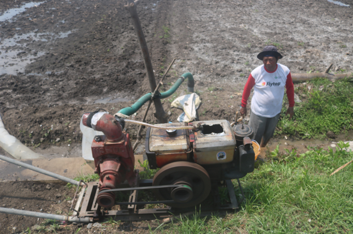 PASOKAN AIR KURANG: Petani di Desa Ngrandulor, Kecamatan Peterongan mengandalkan mesin pompa air di awal musim tanam padi, Minggu (24/12).