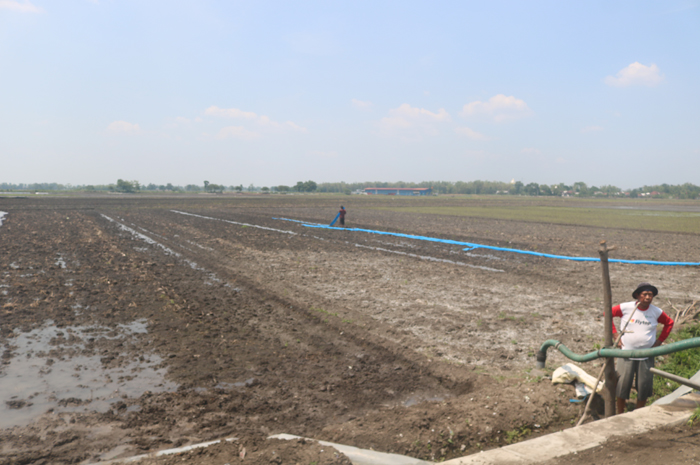 BUTUH AIR: Petani di Dusun Gempoldampet, Desa Ngrandu Lor, Kecamatan Peterongan harus menggunakan mesin diesel agar bisa memulai tanam padi, Minggu (24/12).