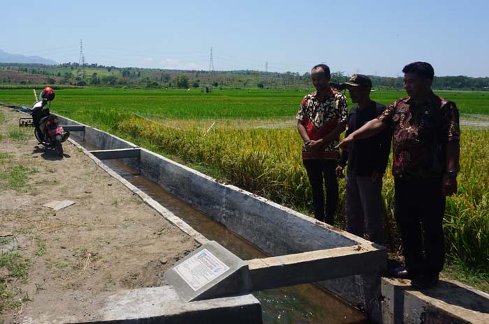 FASILITASI PETANI: Kepala Desa Kedunglumpang Juprianto (kanan) didampingi perangkat desa dan Ketua BPD saat meninjau pembangunan JITUT di Dusun Jlaprang.
