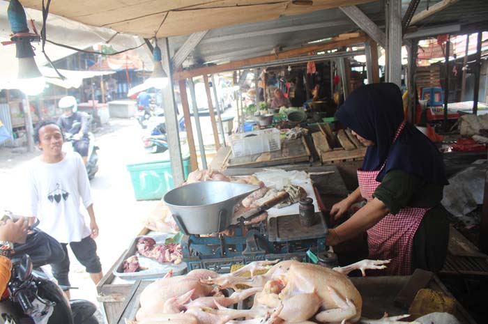 Harga daging ayam broiler di sejumlah pasar tradisional di Jombang, merangkak naik. Seiring momen natal dan tahun baru.  Bila sebelumnya dijual dengan harga Rp 30.000 per kilogram (Kg), kini naik Rp