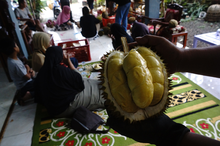 PALING DIMINATI: Sumiasih, 56, penjual durian asal Desa Jarak, Kecamatan Wonosalam menunjukkan durian bawor asli Wonosalam.