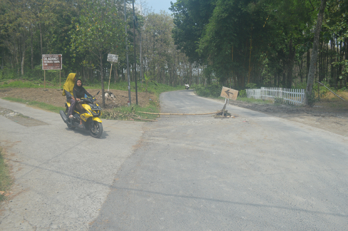 DITUTUP: Jalan penghubung Jombang dengan Lamongan di Desa Sumberaji, Kecamatan Kabuh, Jombang dipasang tanda menerangkan akses di perbatasan ditutup, Senin (1/1).