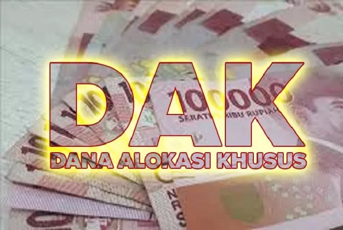 Ilustrasi Dana Alokasi Khusus (DAK)