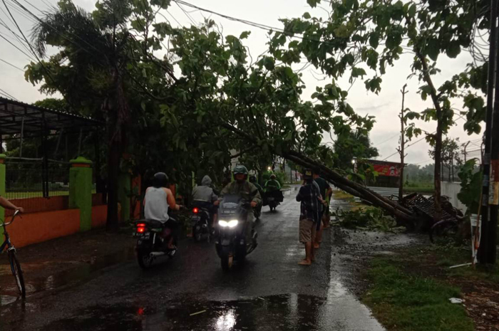 TUMBANG: Hujan disetai angin kencang menerpa Desa Balongsari, Kecamatan Megaluh, membuat sejumlah pohon ambruk dan merusakan bangunan, Rabu (17/1) sore.