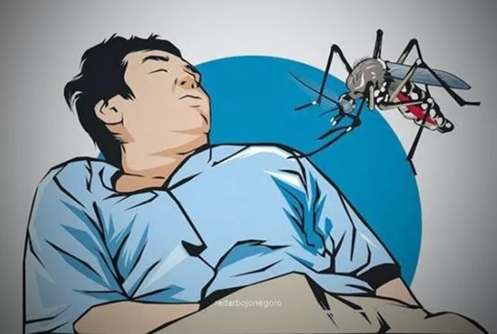 Ilustrasi chikungunya.