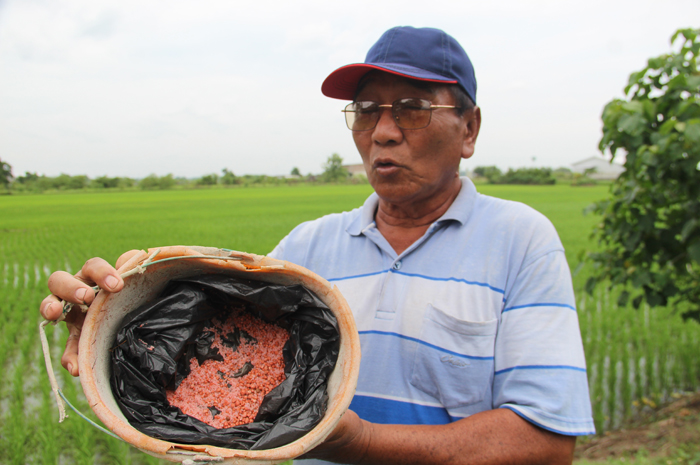 DIHEMAT: Slamet Wijiono, 62 petani di Desa Betek Jombang mengeluhkan jatah pupuk subsidi yang minim, Jumat (26/1).