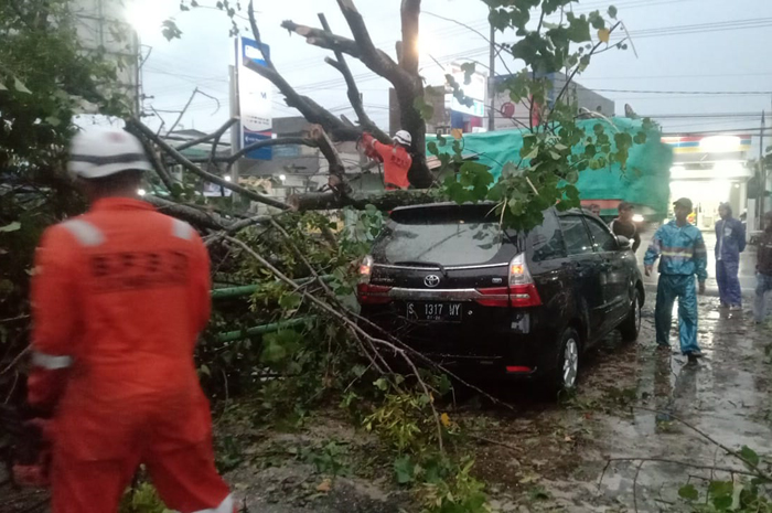 RINGSEK: Mobil Toyota Avanza tertimpa pohon tumbang di Kecamatan Perak, Rabu (31/1).