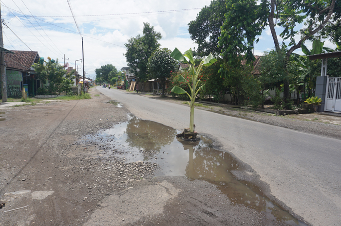TUMBUH PISANG: Lubang jalan di ruas Cukir-Mojowarno Desa Bulurejo, Kecamatan Diwek yang rusak digenangi air, Senin (5/2).