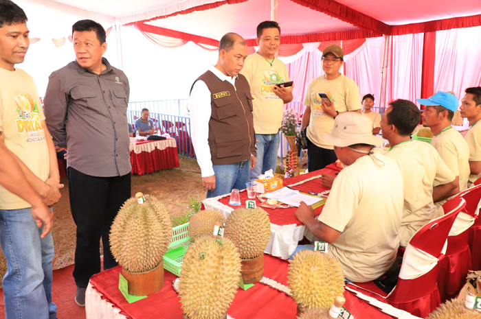 ANTUSIAS: Pj Bupati Jombang Sugiat (kemeja putih) bersama Kepala Dinas Pertanian Jombang M Rony (dua dari kiri) meninjau durian milik peserta.