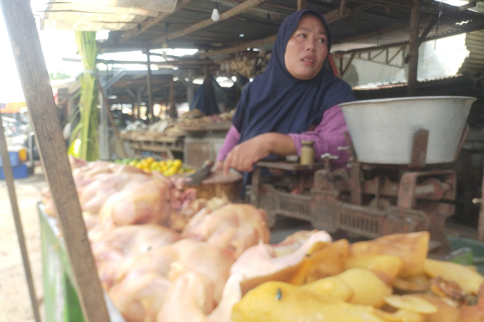 IKUTAN NAIK: Pedagang di PCN Jombang menunjukkan ayam broiler yang harganya naik, Senin (19/2).