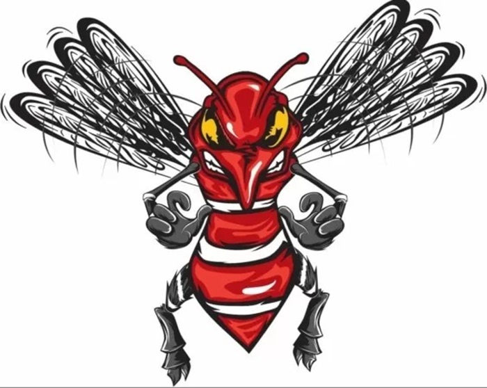 Ilustrasi DBD.