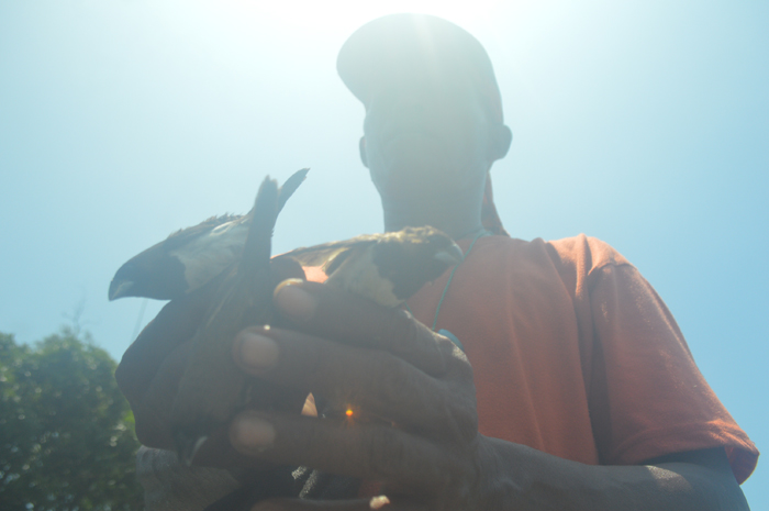 DIBURU: Suparman menunjukkan burung emprit hasil buruannya.