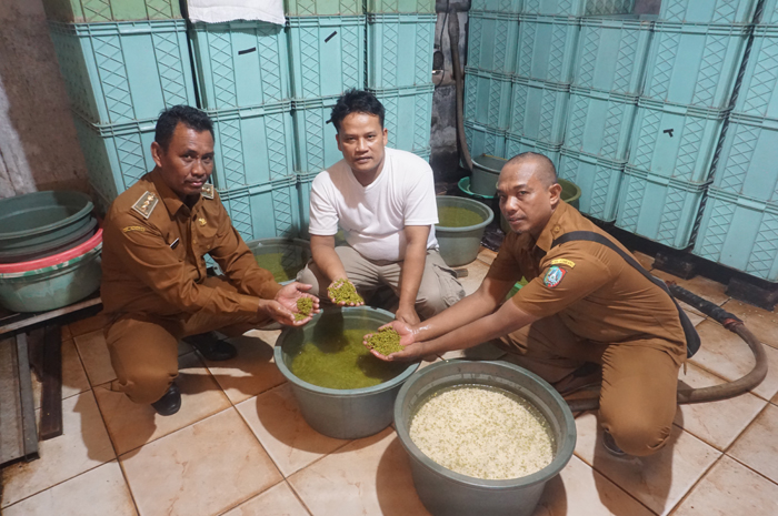KAMPUNG KECAMBAH: Kepala Desa Gajah Suwandi (paling kiri) didampingi perangkat desa saat mengunjungi salah satu produsen taoge.