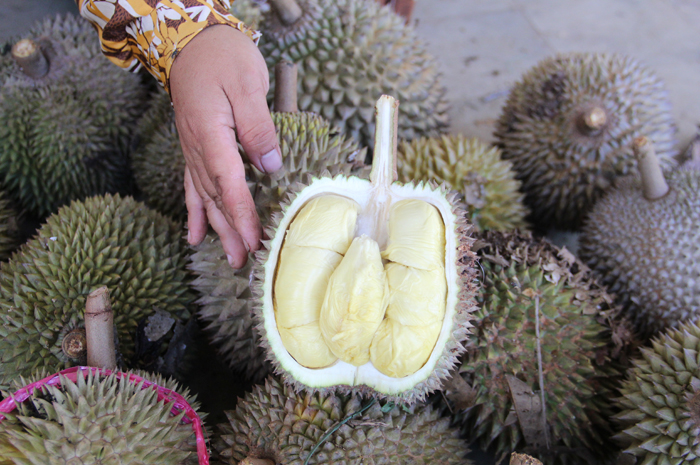 MANIS LEGIT: Misinah, 44 warga Dusun/Desa Wonomerto, Kecamatan Wonosalam menunjukkan durian upit.
