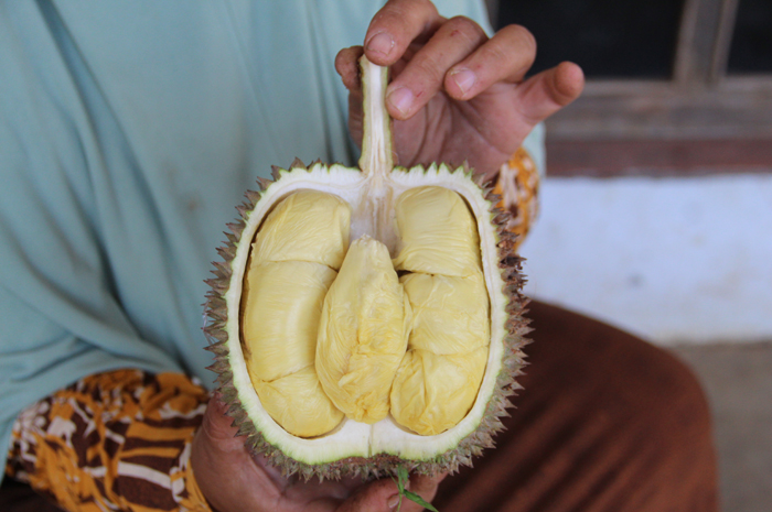 MANIS LEGIT: Misinah, 44 warga Dusun/Desa Wonomerto, Kecamatan Wonosalam menunjukkan durian upit.