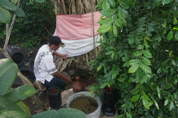 SEJARAH DESA: Salah satu perangkat Desa Genukwatu menunjukkan lokasi genuk batu di tengah area persawahan yang menjadi asal mula sejarah penamaan desa.