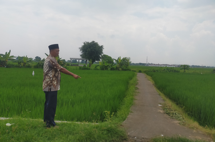 INFRASTRUKTUR: Kasi kesra Desa Banjardowo Zainurochim menunjukkan lokasi pembangunan JUT yang dibangun di Dusun Sendangrejo.