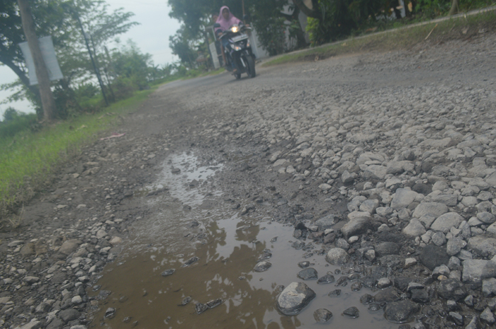 TAK LAGI RATA: Aspal jalan di Desa Kedungmlati, Kecamatan Kesamben selain berlubang juga jadi genangan air (18/3).