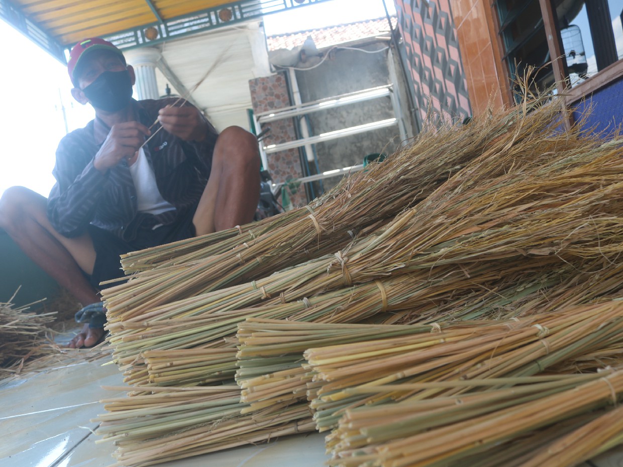DIPILAH: Jerami dari batang padi khusus dijadikan bahan baku pembuatan merang untuk sesajen di Desa Gabusbanaran, Kecamatan Tembelang, Jombang yang tetap eksis.