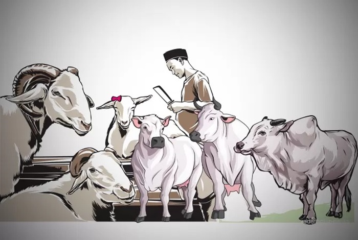 Ilustrasi sapi dan kambing.