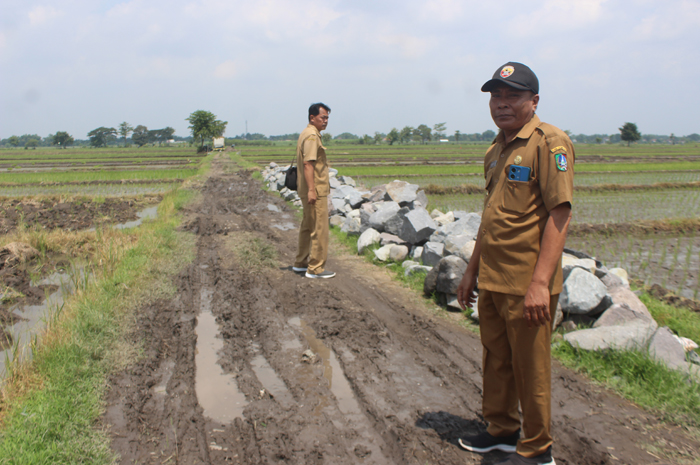 PERSIAPAN: Sugito, Kades Kedungturi didampingi Syamsul Hidayat Sekdes Kedungturi saat meninjau material yang siap dipakai pembangunan JUT.