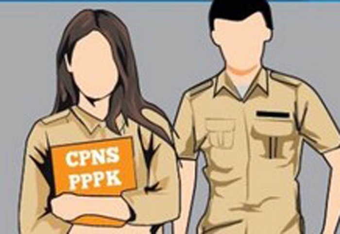 Ilustrasi PNS