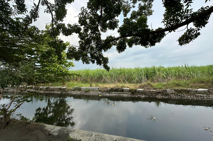 TERGANJAL PENLOK: Lahan TKD Pandanwangi, Kecamatan Diwek, Jombang sedianya dibeli Pemkab Jombang untuk merelokasi RSUD Jombang.