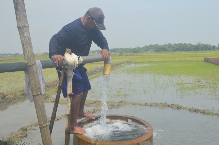 PAKAI SUMUR BOR: Salah seorang petani di Desa Gebangbunder, Kecamatan Plandaan Kabupaten Jombang menggunakan sumur bor untuk mengairi sawah.