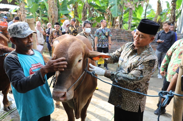 PULANG KAMPUNG: Pj Bupati Jombang Sugiat saat melakukan pengecekan hewan kurban di Desa Denanyar, Kecamatan/Kabupaten Jombang.