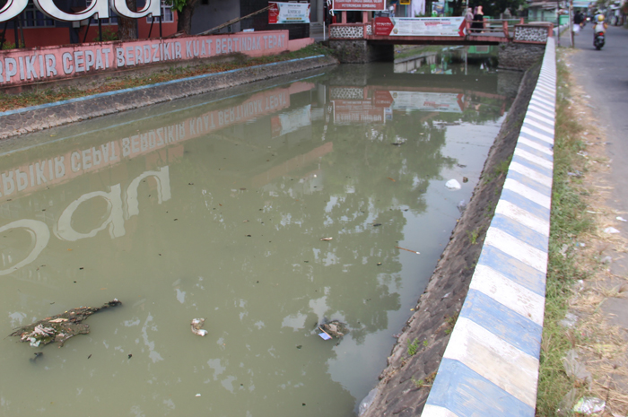 MEMUTIH: Kondisi sungai yang berada di Dusun Rejoso, Desa Ngumpul, Kecamatan Jogoroto, Jombang, memutih, Sabtu (22/6).