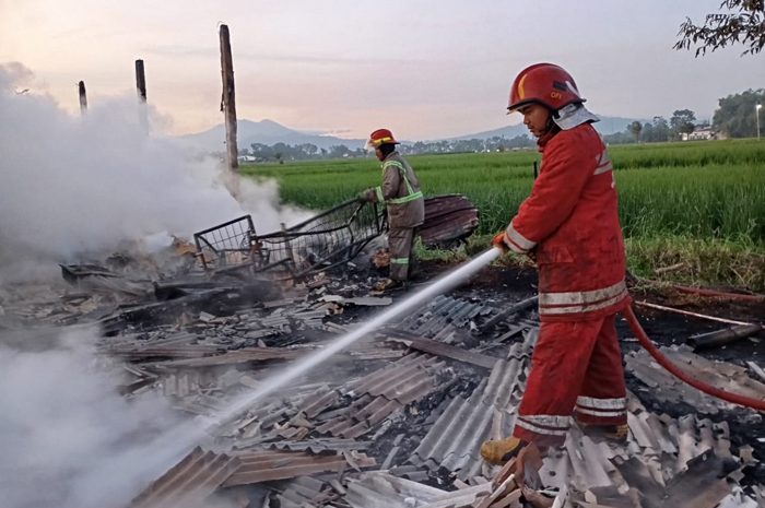 LUDES TERBAKAR: Kandang ayam di Kecamatan Ngoro, Jombang yang terbakar mengakibatkan kerugian hingga ratusan juta rupiah.