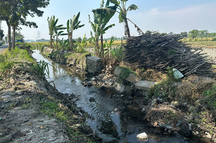 Kondisi plengsengan saluran irigasi di perbatasan Desa Keras, Kecamatan Diwek dengan Desa Sepanyul, Kecamatan  Gudo memprihatinkan