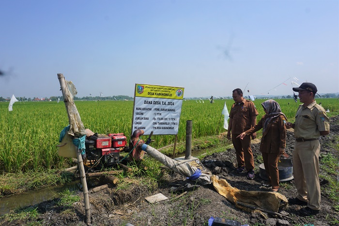 UNTUK WARGA: Sekretaris Desa Karangmojo Mohammad Pujiono bersama jajaran perangkat Desa Karangmojo saat menunjukkan salah satu lokasi sumur dangkal di area persawahan warga.
