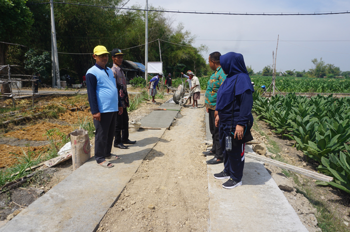AKSES PETANI: Kades Jatigedong Siti Junaidah bersama perangkat desa melakukan pengecekan proyek JUT di Dusun Lengkong, Desa Jatigedong, Ploso, Jombang, Kamis (22/8).