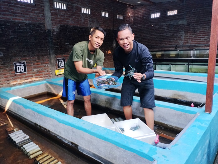SUKSES: Muhammad Jadid Maulana, (kanan), warga Desa Watudakon, Kecamatan Kesamben, Jombang menunjukkan lobster air tawar.
