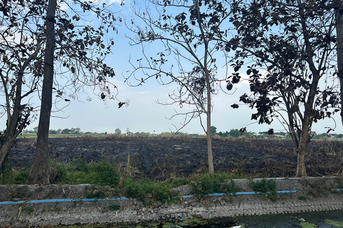 TKD Pandanwangi, Kecamatan Diwek diusulkan pemkab untuk relokasi RSUD Jombang.