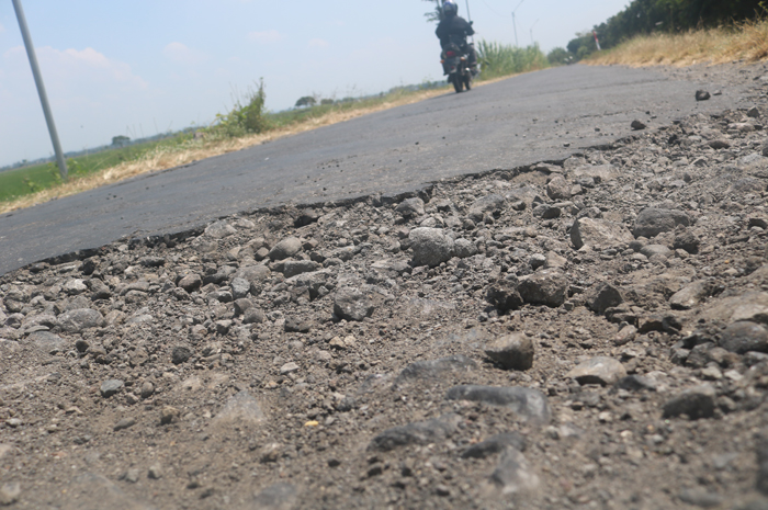 BERLUBANG: Kondisi jalan rusak di Desa Pagerwojo, Kecamatan Perak, Jombang, rusak.