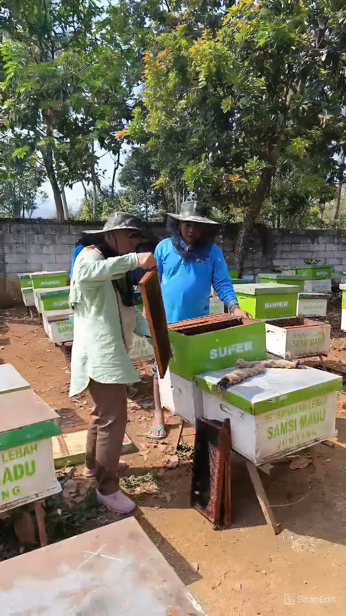 BELAJAR: Para pengunjung saat belajar budi daya lebah madu di kebun milik Lutfi di Desa Sambirejo, Kecamatan Wonosalam, Jombang.