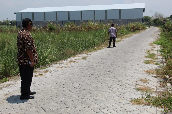 MAJU: Sekretaris Desa Keplaksari Hariyono bersama TPK Desa Ahmad Hamzah saat menunjukkan pavingisasi di Dusun Pagotan, Desa Keplaksari, Peterongan, Jombang.