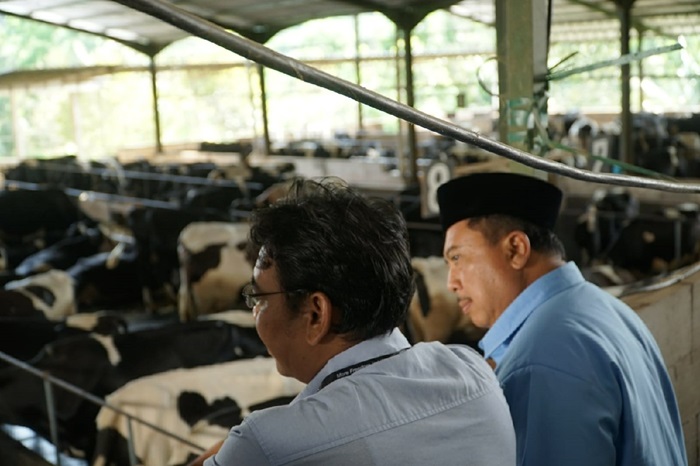 BERKUNJUNG: Bupati Jombang terpilih Warsubi komitmen mengembangkan potensi sapi perah di Kecamatan Wonosalam.