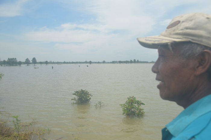 MASIH TERGENANG: Sawah di Desa Kedungmlati, Kecamatan Kesamben, Jombang kembali dilanda banjir.