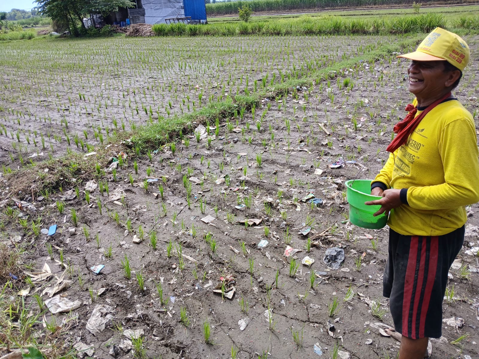 DIPUPUK: Petani di Kecamatan Diwek, Jombang tengah memupuk tanamannya menggunakan pupuk non-subsidi.