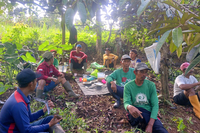 DIBERSIHKAN: Sejumlah warga Desa Sambirejo Kecamatan Wonosalam Jombang membersihkan kebun mereka, Rabu (8/1).