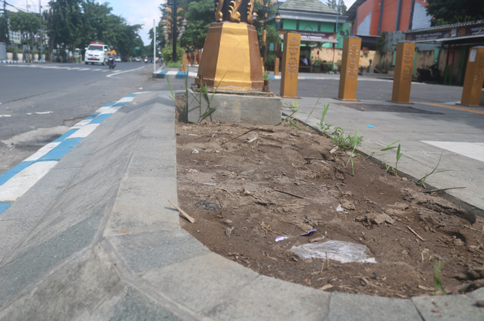 KOSONG: Kondisi pot bunga di trotoar Jl Gus Dur Jombang yang mati sudah dibongkar dan belum ditanami tanaman baru, (9/1).